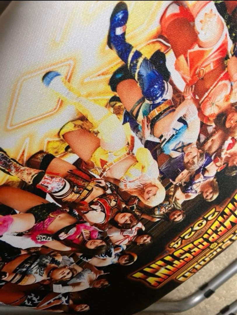 女子プロレス　マリーゴールド　両国　ロイヤルシート　特典　椅子