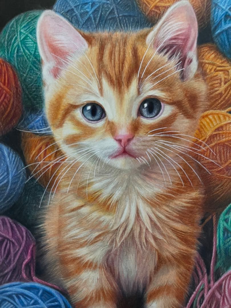 色鉛筆画A4 仔猫 茶トラ