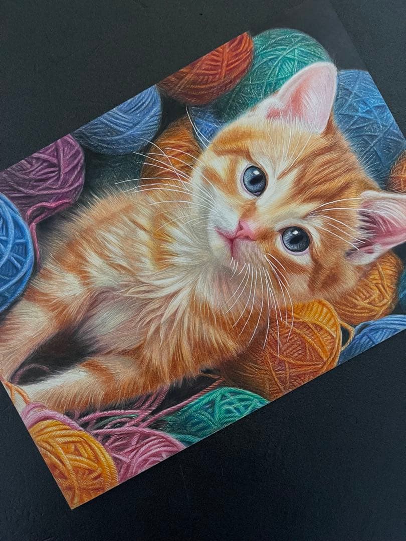 色鉛筆画A4 仔猫 茶トラ