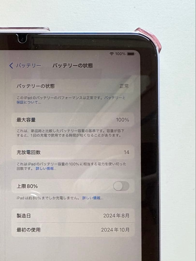 iPad mini (A17 Pro) Wi-Fi 128GB パープル