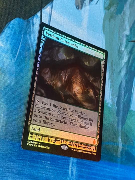 新緑の地下墓地/Verdant Catacombs foil mtg