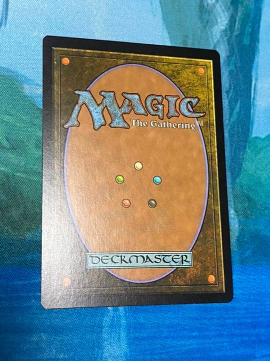 新緑の地下墓地/Verdant Catacombs foil mtg