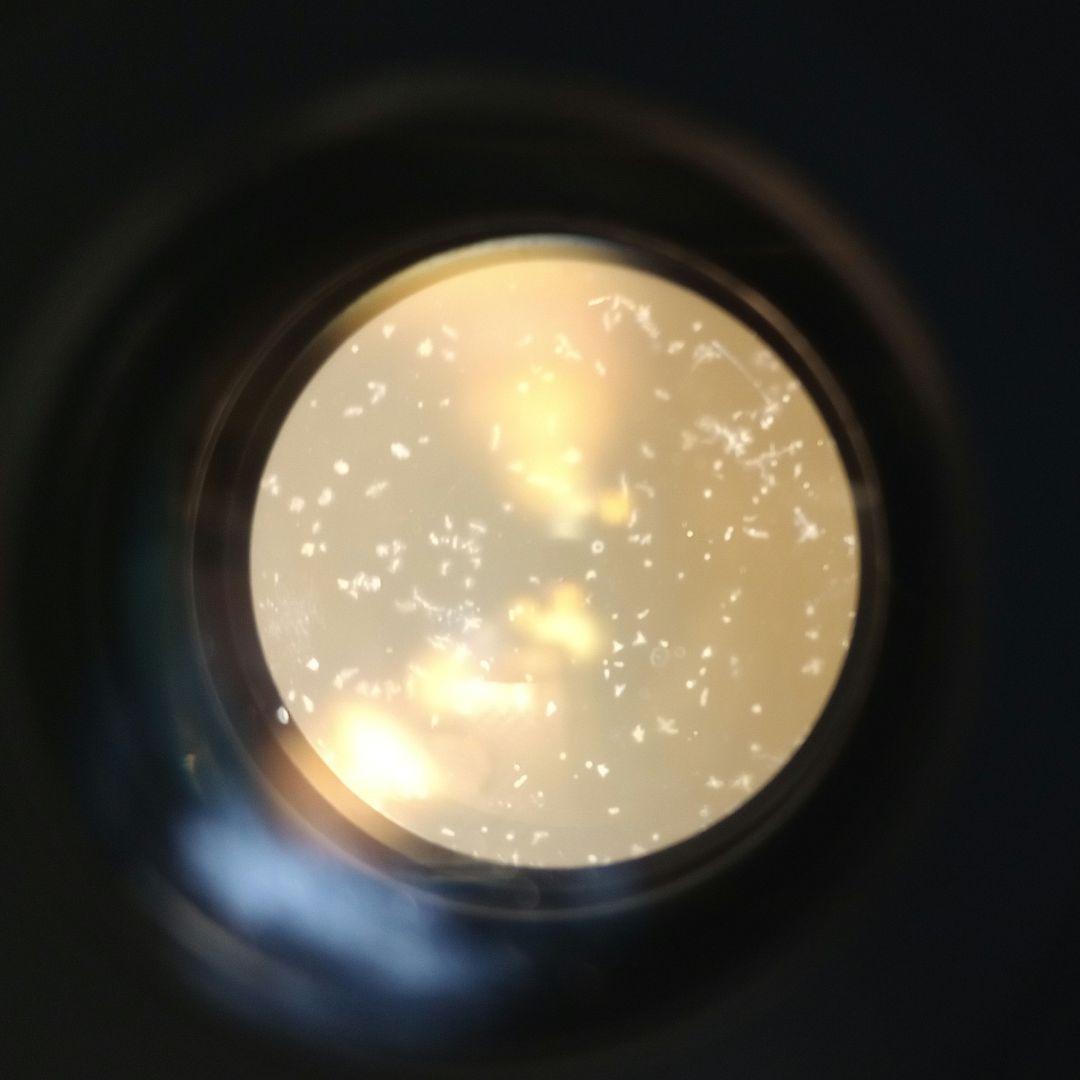 《希少モデル》AUTO mamiya/sekor 50mm F2 【良品】