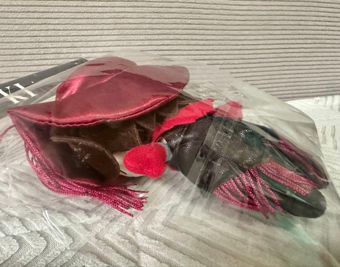 未開封 氷川きよし KIINA ぬいぐるみ バーモン人形　 グッズ