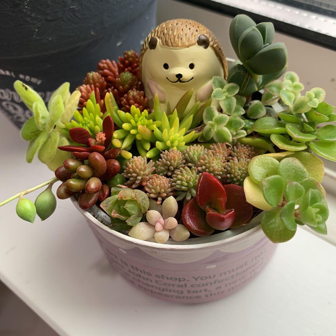 haru＊様ご確認用