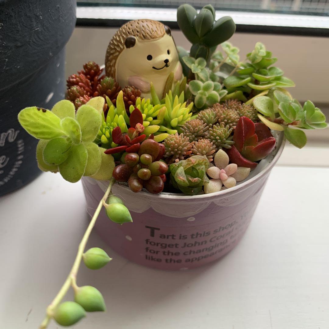 haru＊様ご確認用