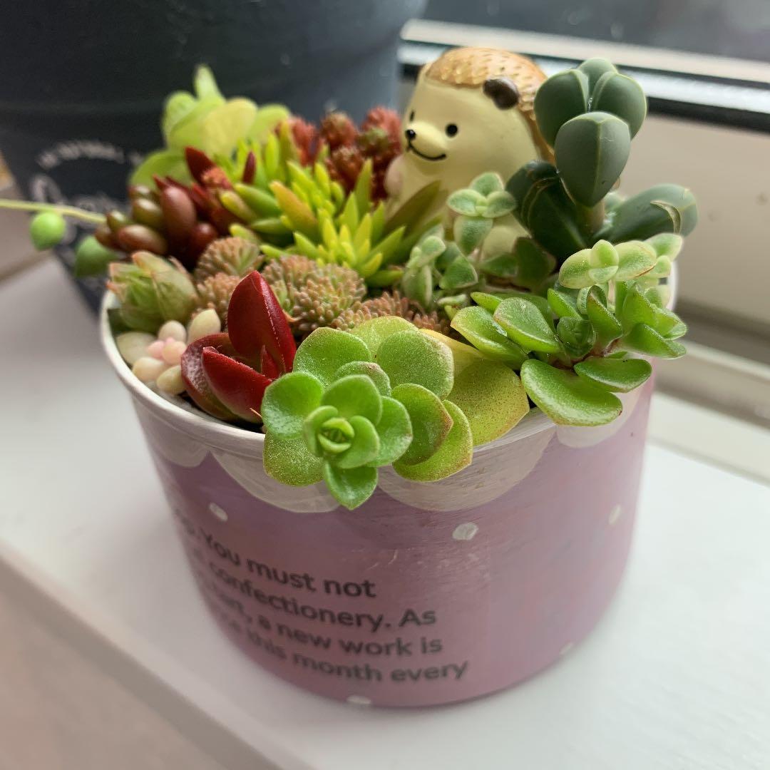 haru＊様ご確認用