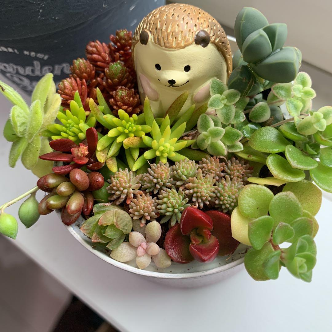 haru＊様ご確認用