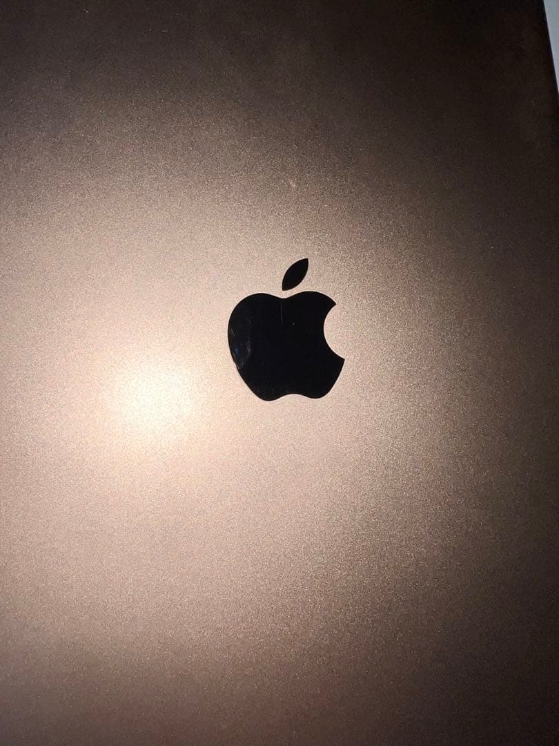 Apple iPad 本体 ピンクゴールド