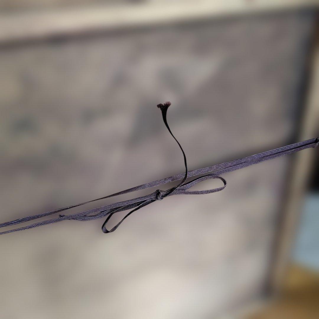 浮世絵 女性の姿 多色使い