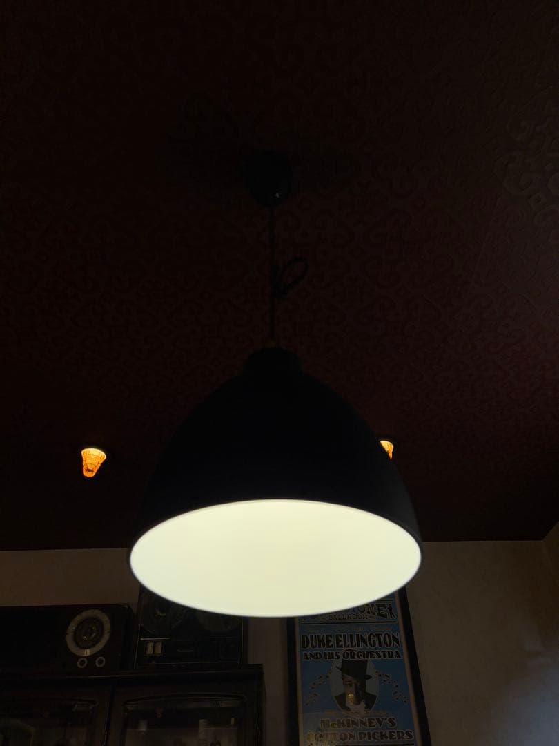 株式会社日昇 ペンダントライト インダストリアル