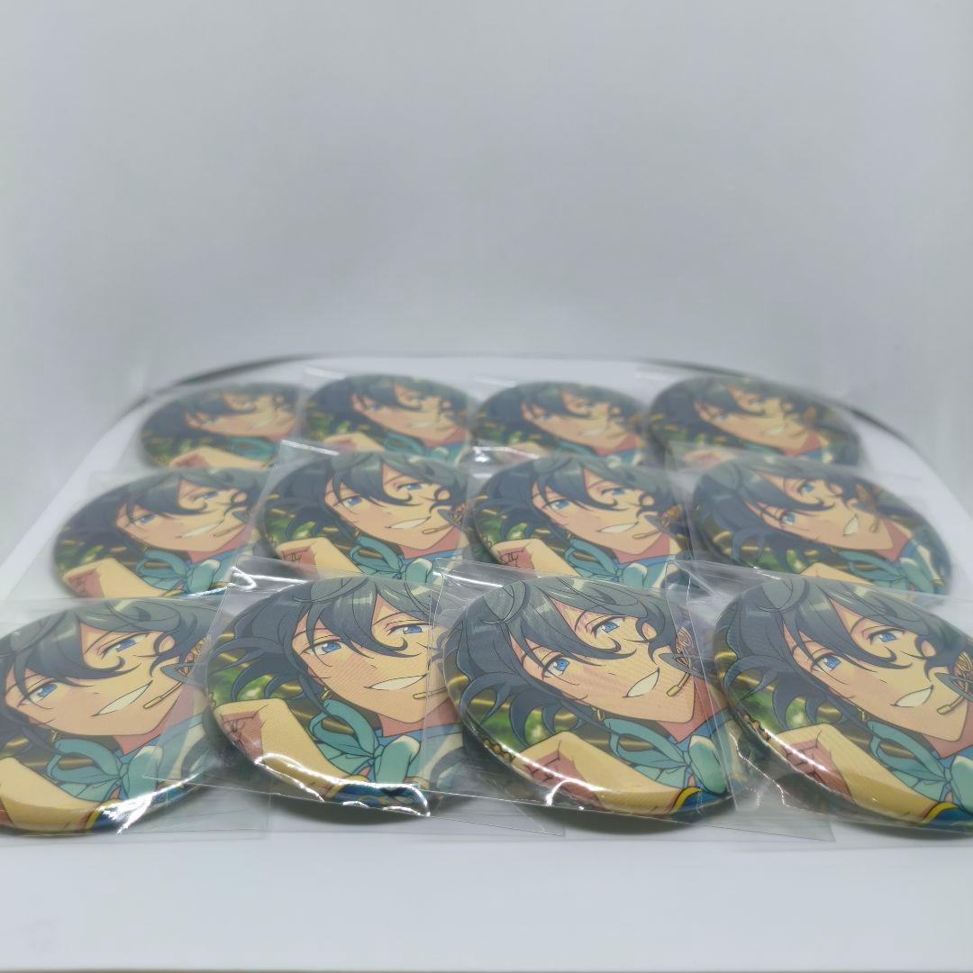 12個セット✨椎名ニキ コレクション缶バッジ 2025 Jun. idol