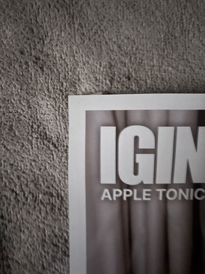 IGIN BTS JIN（キムソクジン）B5韓国限定ポスター