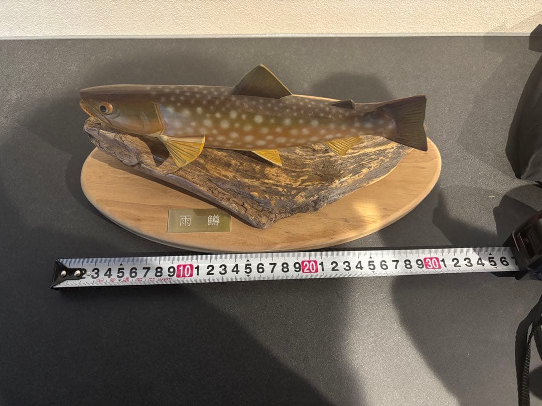 魚の木彫り　(アメマス、雨鱒)