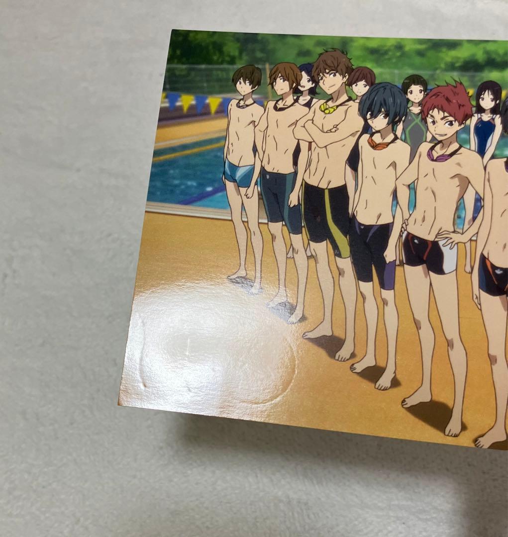 ハイ☆スピード！ Free! 映画　入場特典 メッセージイラストカード 全種