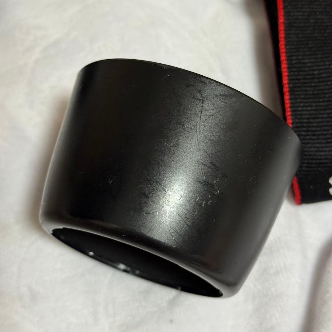 キヤノン EOS 80D ダブルズームキット＋単焦点レンズ＋レインカバー付き