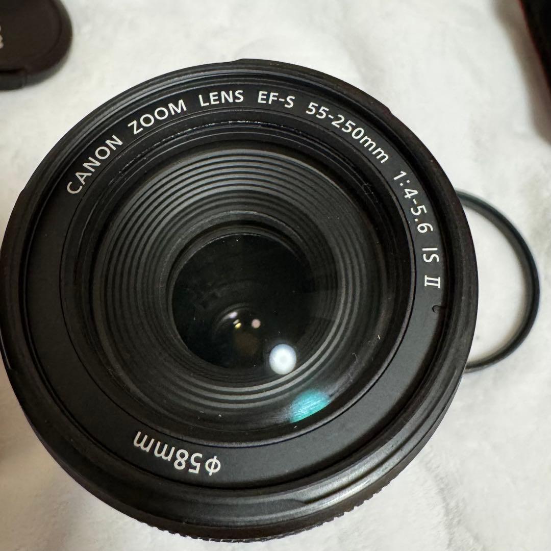 キヤノン EOS 80D ダブルズームキット＋単焦点レンズ＋レインカバー付き
