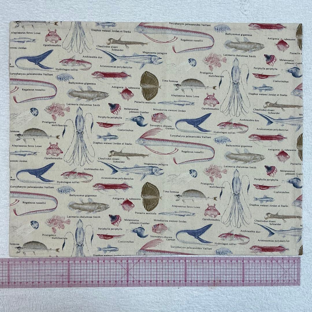 050海の仲間 給食セット×5枚　小学校 ランチョンマット ネーム 入学 給食