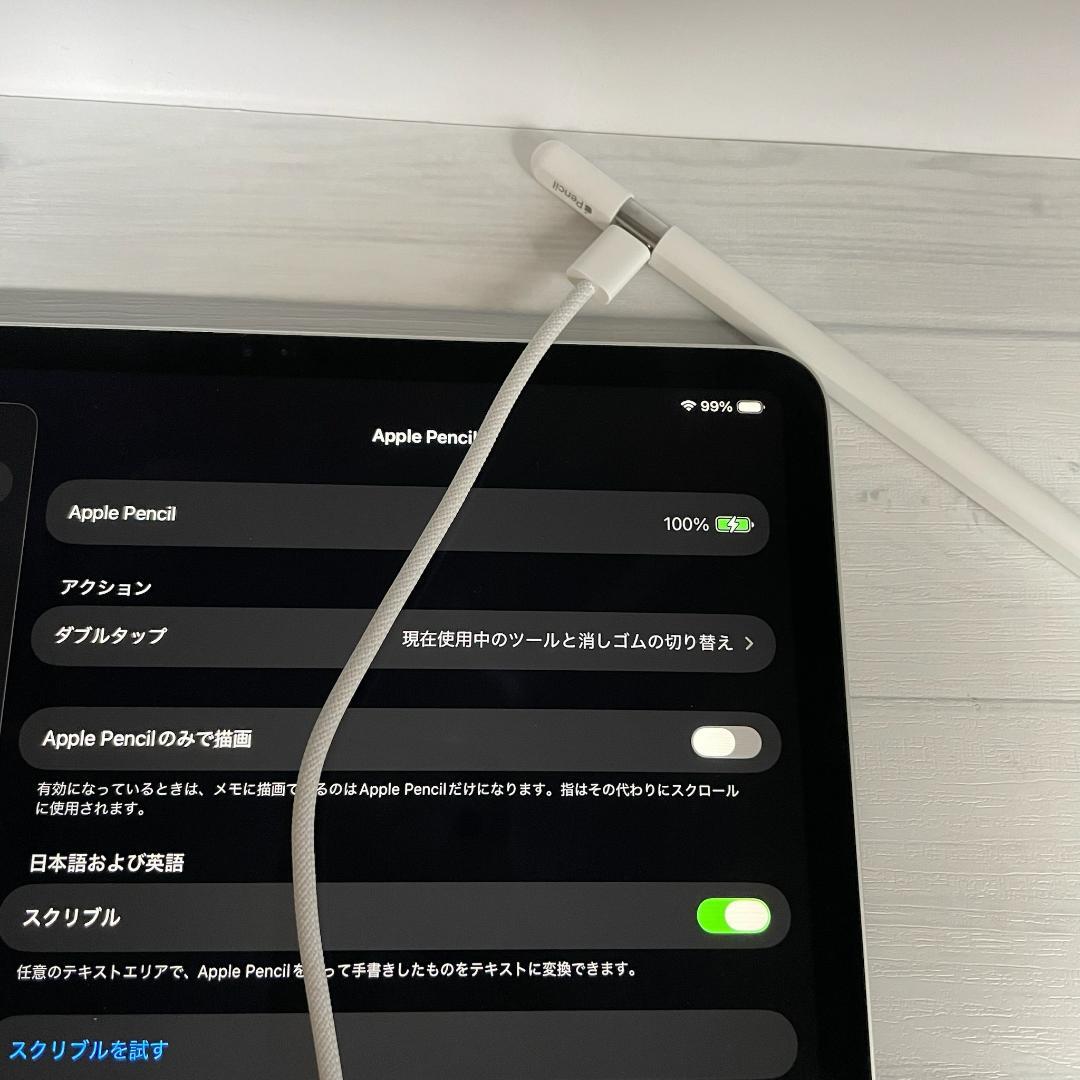 保証あり【美品】Apple Pencil USB-Cタイプ 替え芯セット