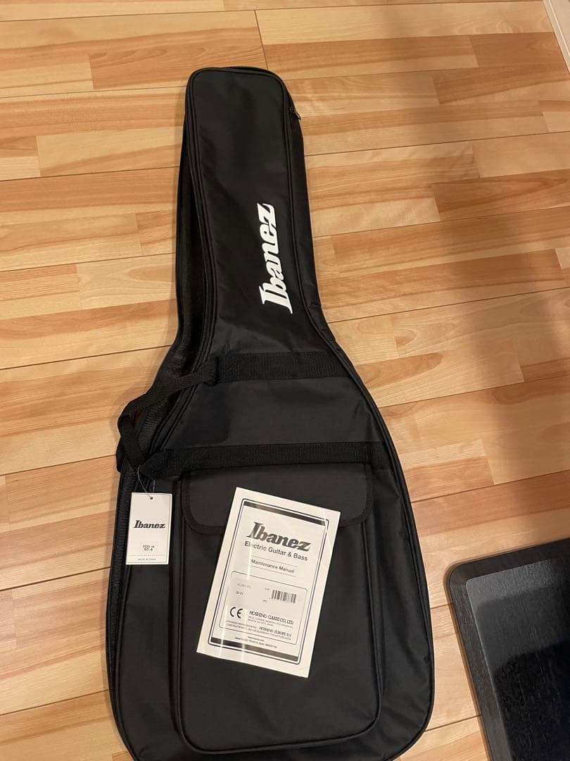 ギター Ibanez GENESIS COLLECTION RG565