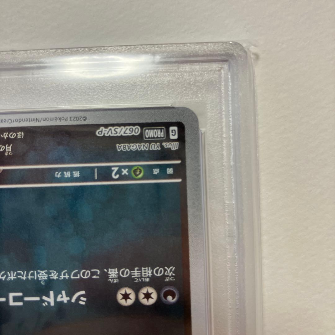 【PSA10】2023 POKEMON ブラッキー プロモ YU NA