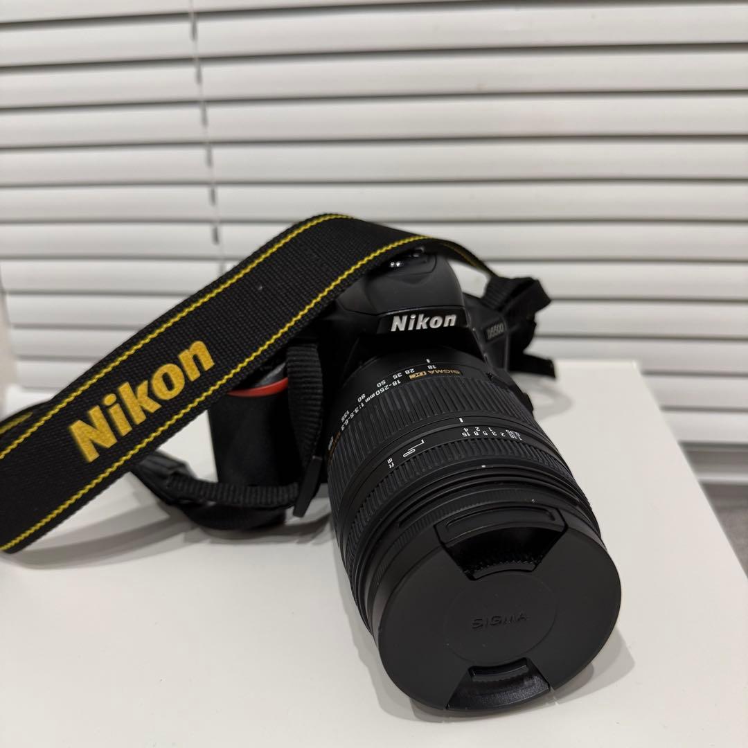 【ストラップ&レンズ&ケース付き】Nikon D5500 デジタル一眼レフカメラ