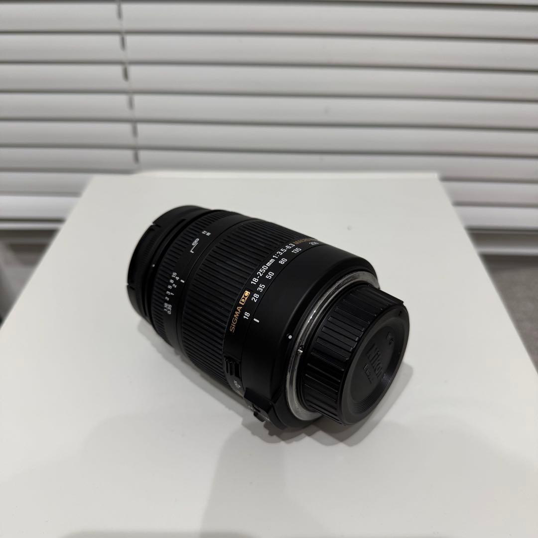 【ストラップ&レンズ&ケース付き】Nikon D5500 デジタル一眼レフカメラ