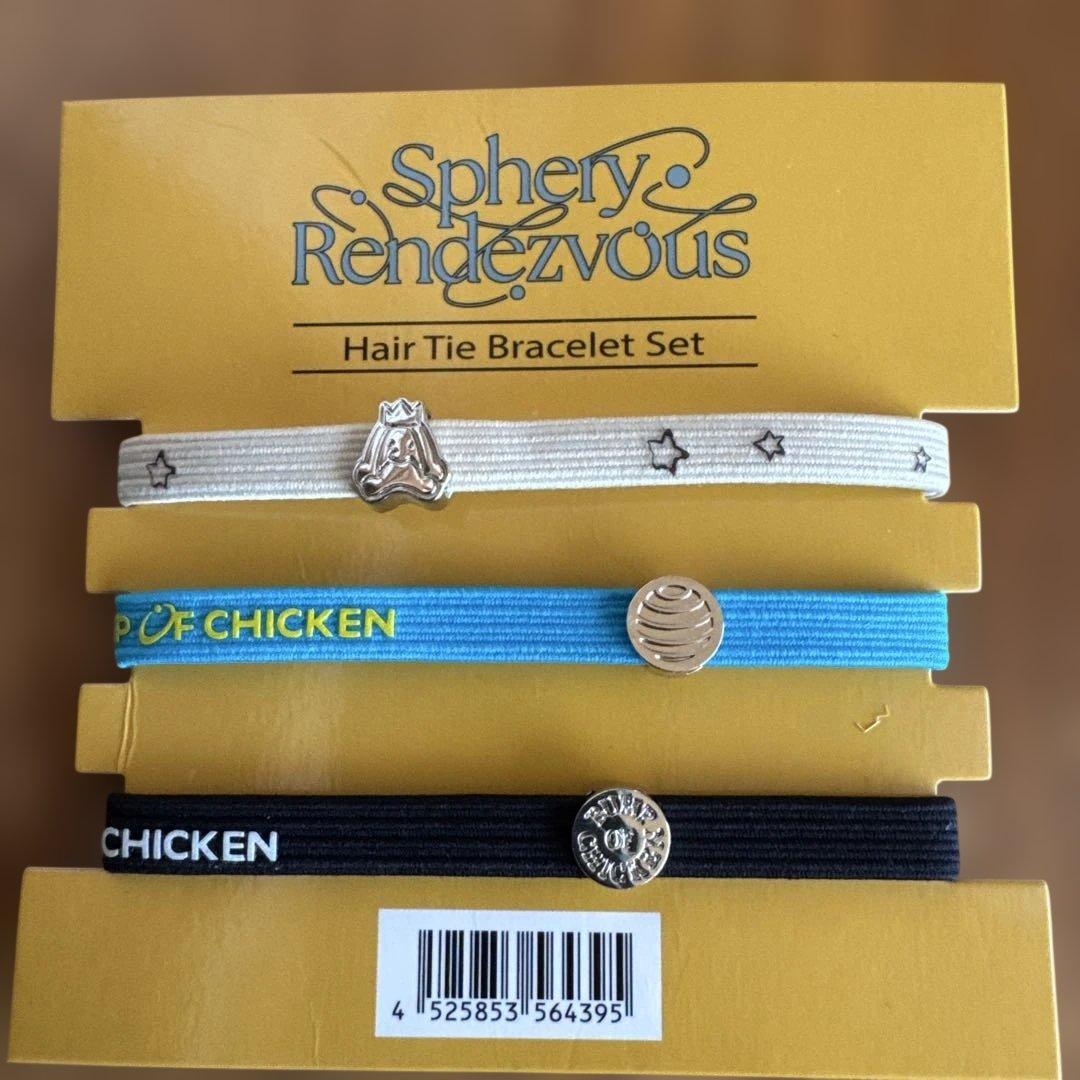 BUMP OF CHICKEN ポーチとニコルのマスコットキーリングとおまけ