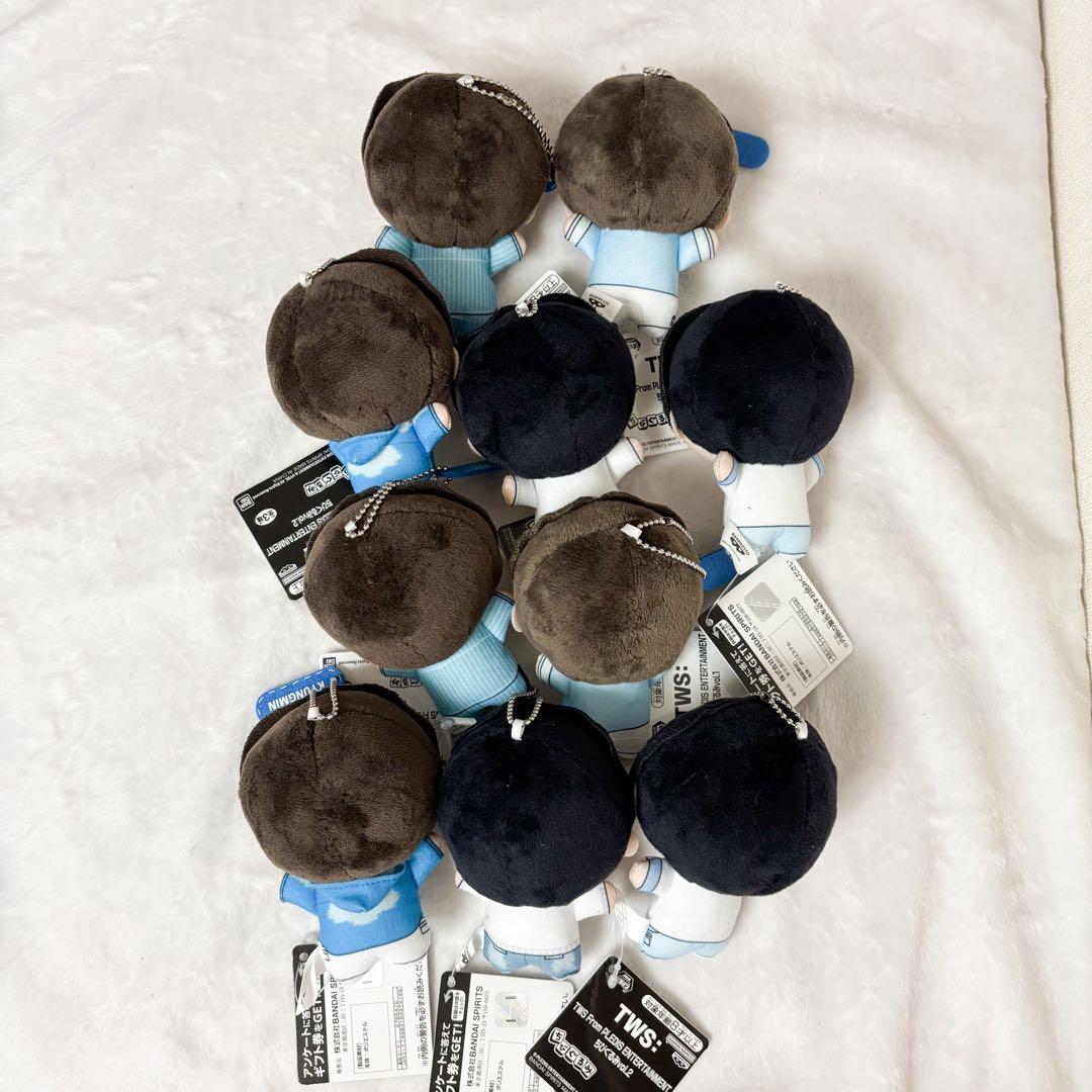 TWS ちびぐるみvol.2 ５種　10個セット