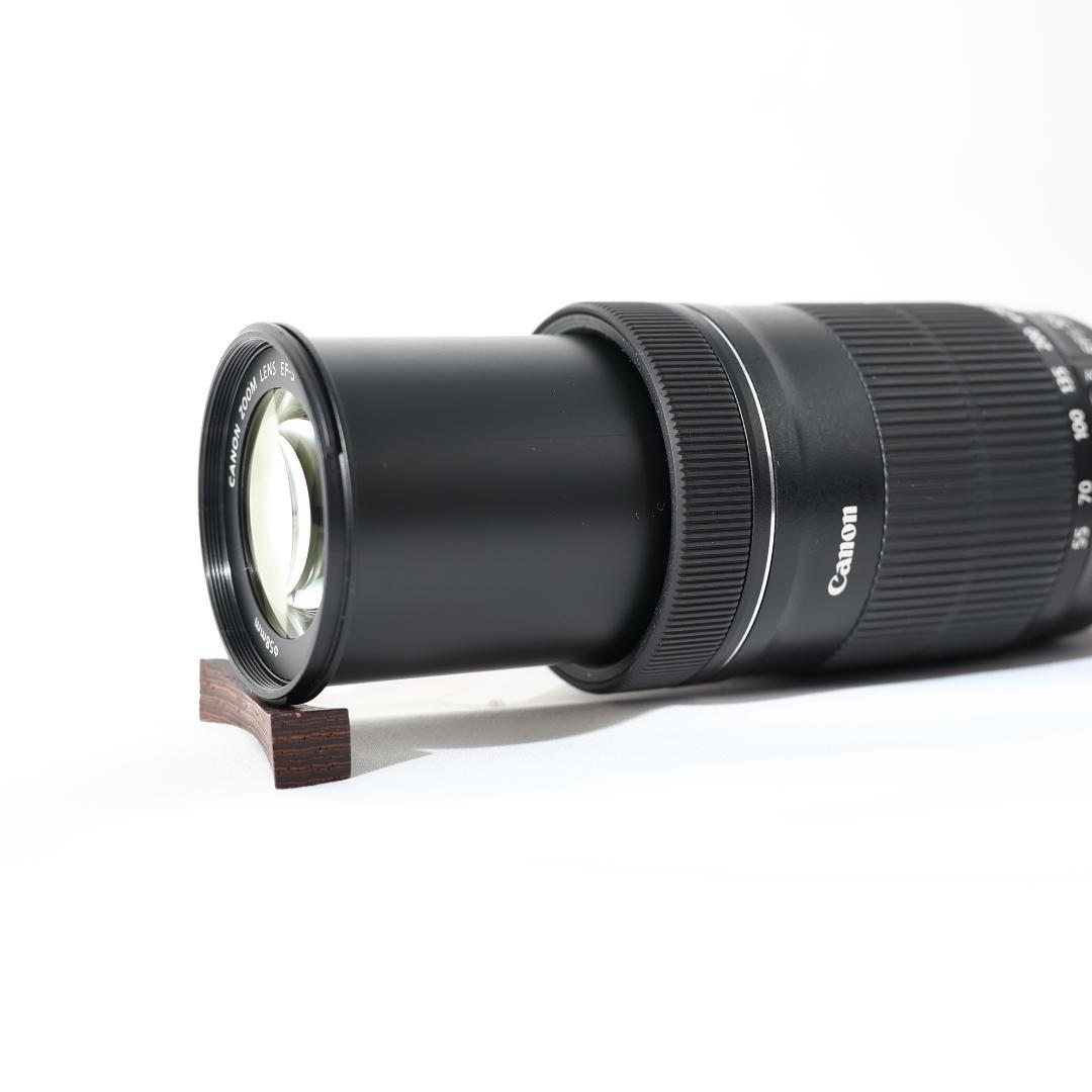 【手振れ補正】canon EF-S 55-250mm IS STM 望遠 ③