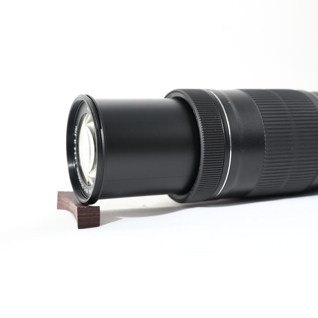 【手振れ補正】canon EF-S 55-250mm IS STM 望遠 ③