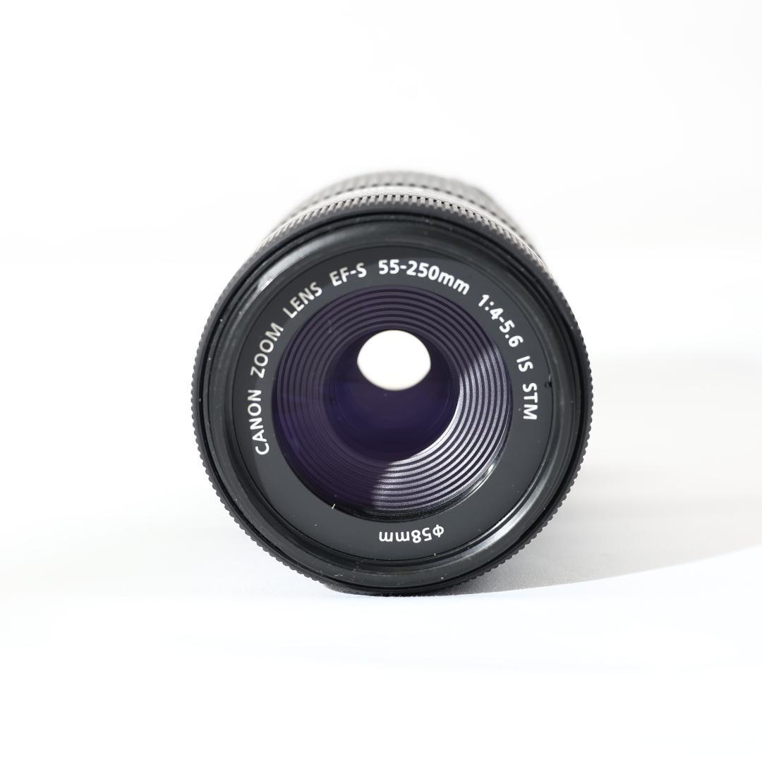 【手振れ補正】canon EF-S 55-250mm IS STM 望遠 ③