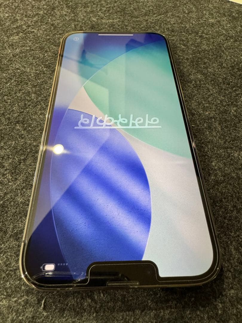 iPhone 13 Pro Max 米国版（シャッター音なし）