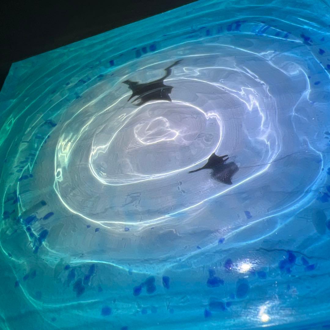 【波紋アート⑦】マンタの遊泳／砂紋／15cmスクエア／ナチュラルサンド／枠なし