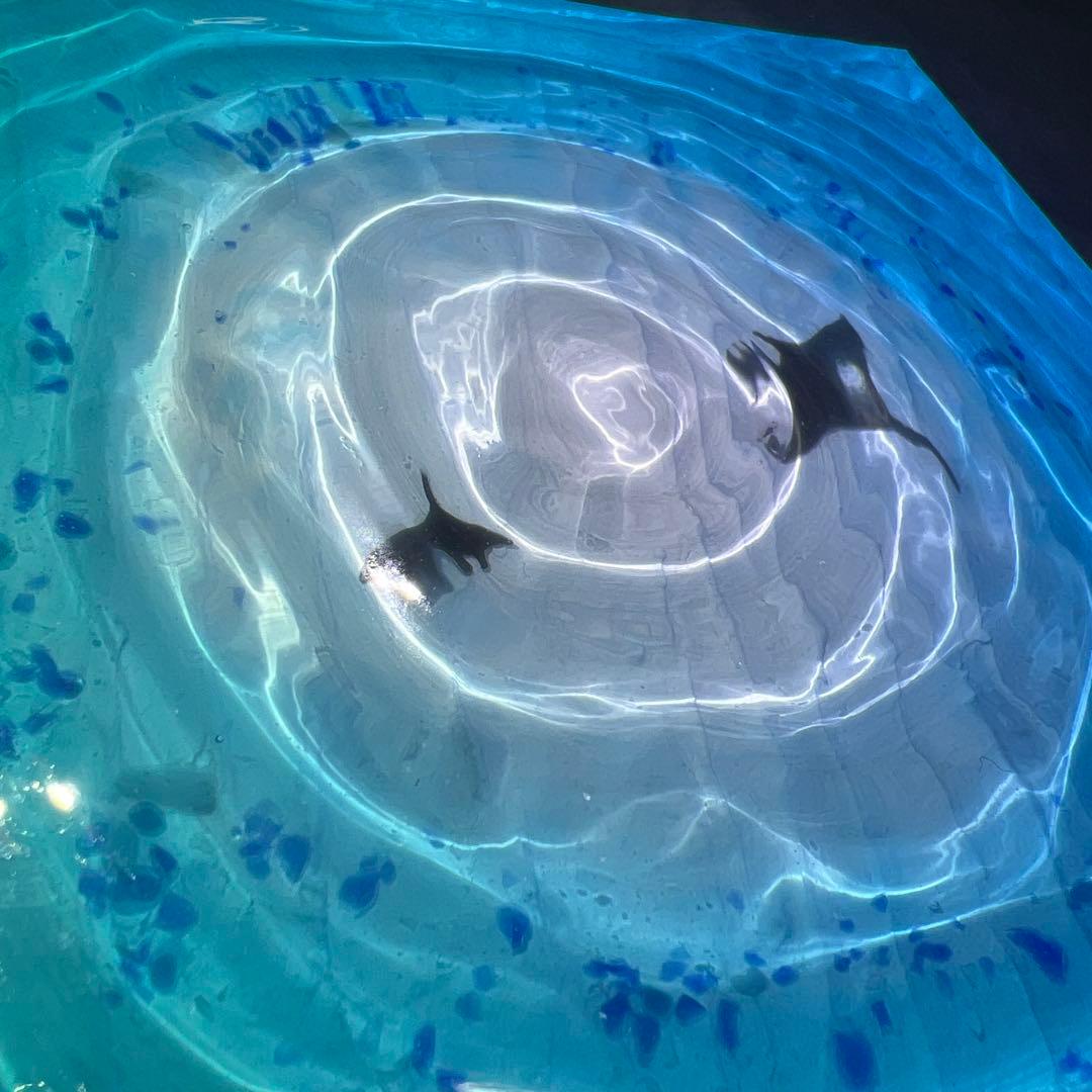 【波紋アート⑦】マンタの遊泳／砂紋／15cmスクエア／ナチュラルサンド／枠なし