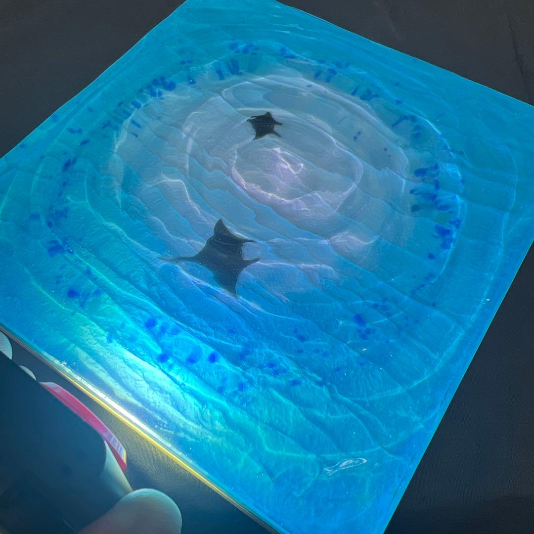 【波紋アート⑦】マンタの遊泳／砂紋／15cmスクエア／ナチュラルサンド／枠なし