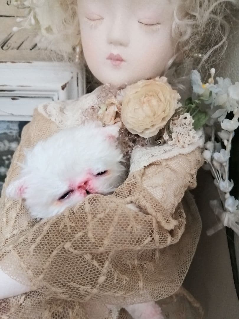 限定♡生後10日♡おめめ開いたよ♡エキゾチック子猫ちゃん♡アートドールぬいぐるみ