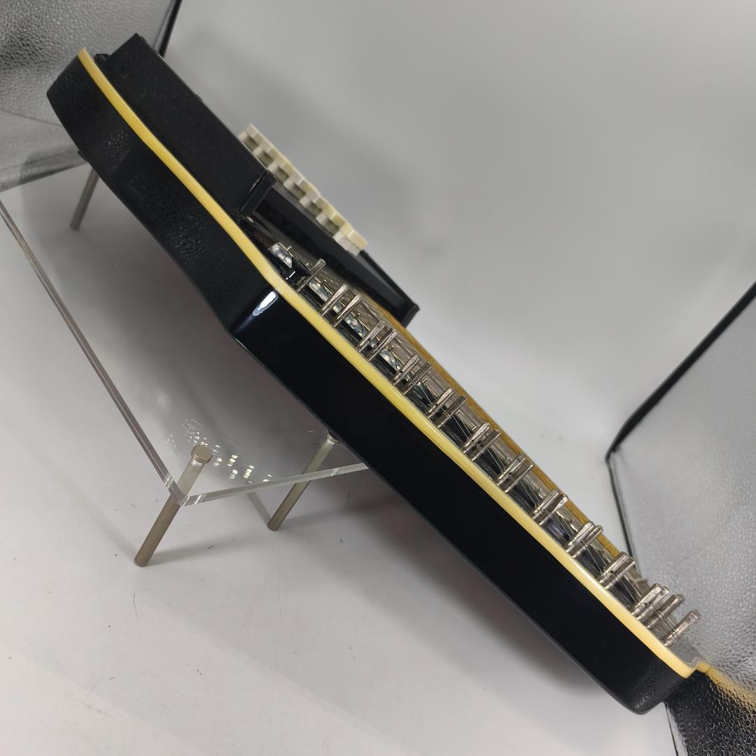 ARIA　AH-21E　コードハープ　専用ケース　ピックアップ搭載モデル　弦楽器