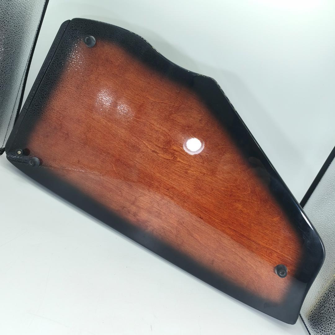 ARIA　AH-21E　コードハープ　専用ケース　ピックアップ搭載モデル　弦楽器