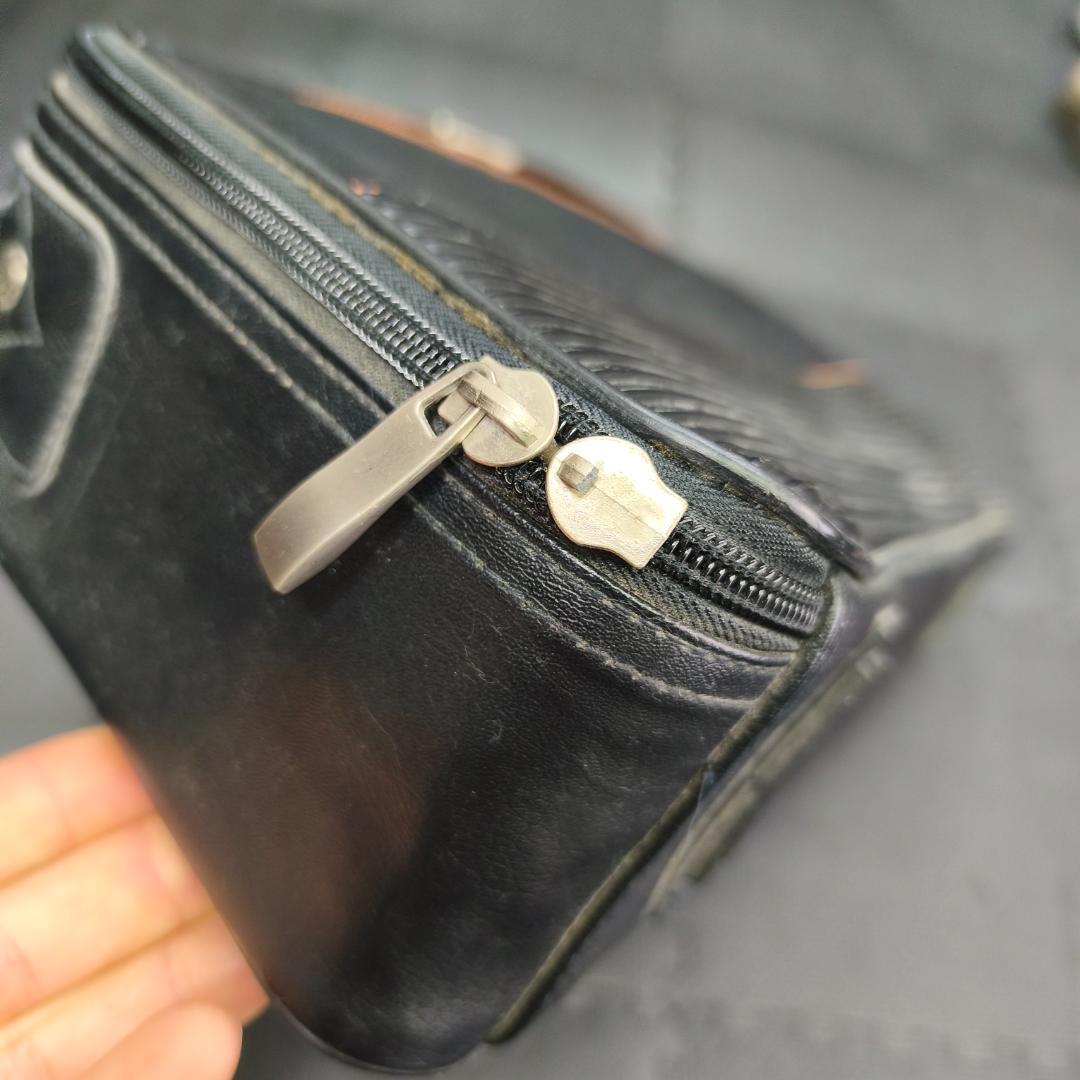 ARIA　AH-21E　コードハープ　専用ケース　ピックアップ搭載モデル　弦楽器