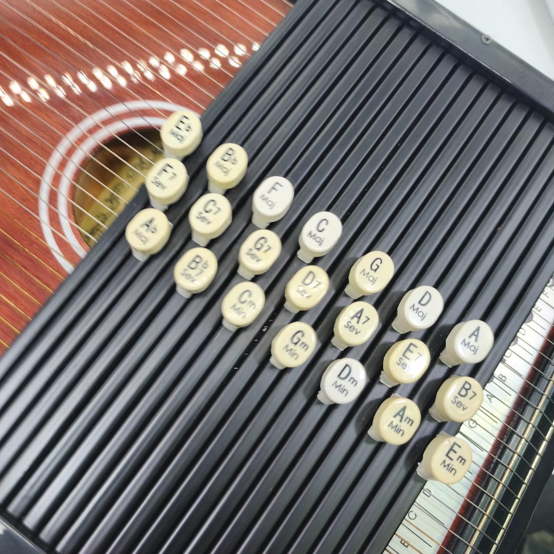 ARIA　AH-21E　コードハープ　専用ケース　ピックアップ搭載モデル　弦楽器