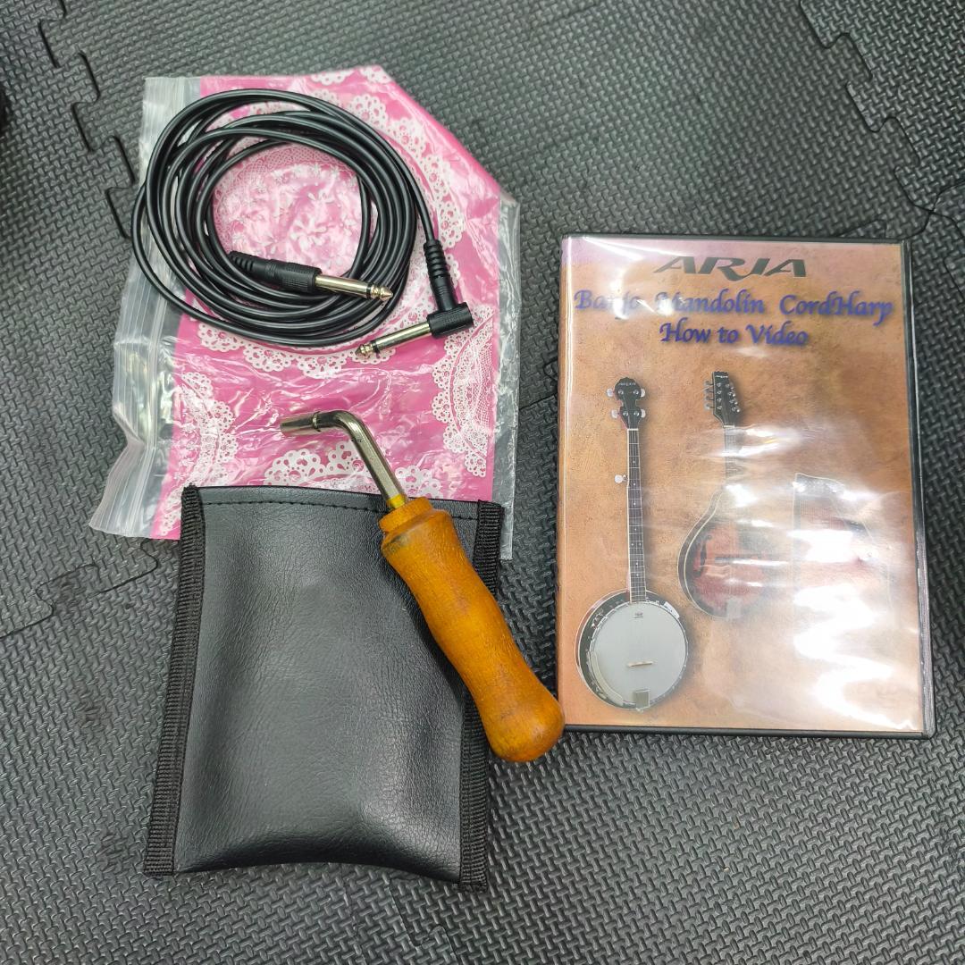 ARIA　AH-21E　コードハープ　専用ケース　ピックアップ搭載モデル　弦楽器