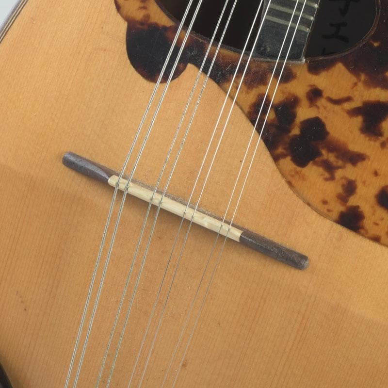 石川捷二郎　マンドリン　ハードケース・ピック付　V　9959A