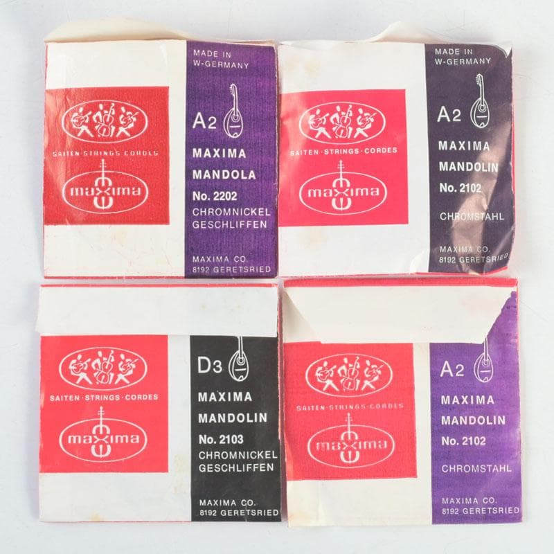 石川捷二郎　マンドリン　ハードケース・ピック付　V　9959A