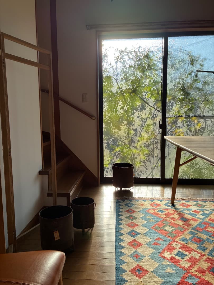 【バラ「超」大苗】フランソワ ジュランビル （つるバラ）