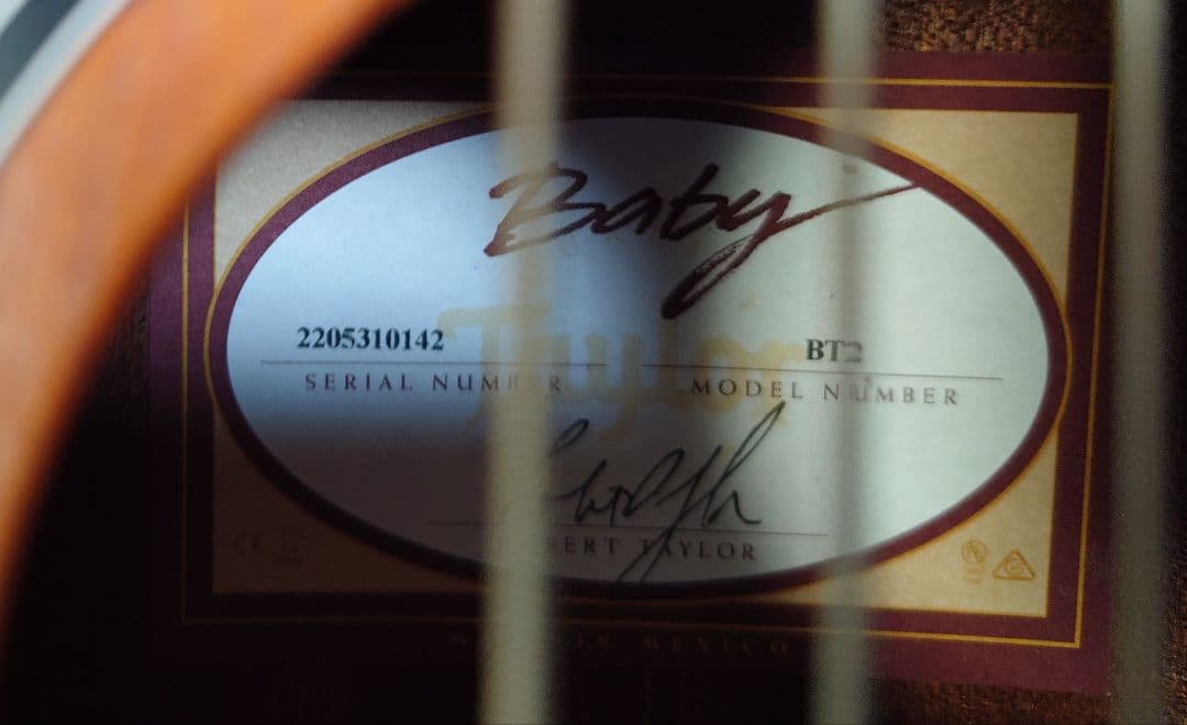 Taylor Baby Mahogany BT2 ミニアコースティックギター
