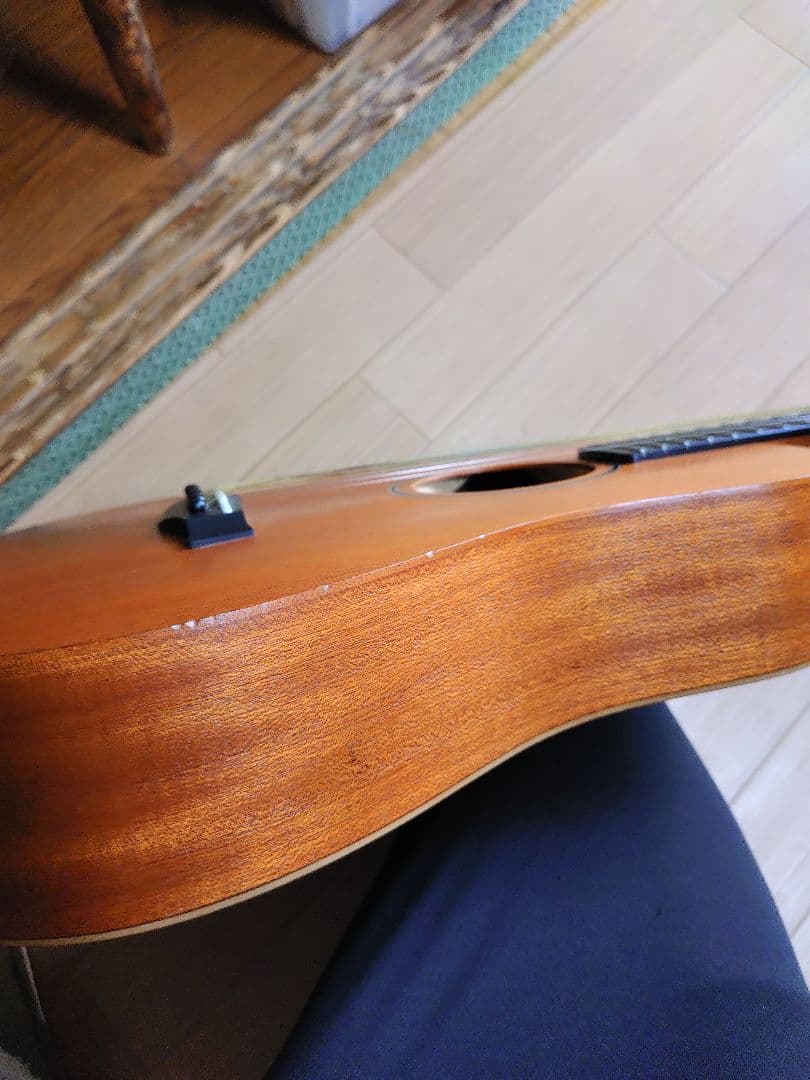 Taylor Baby Mahogany BT2 ミニアコースティックギター