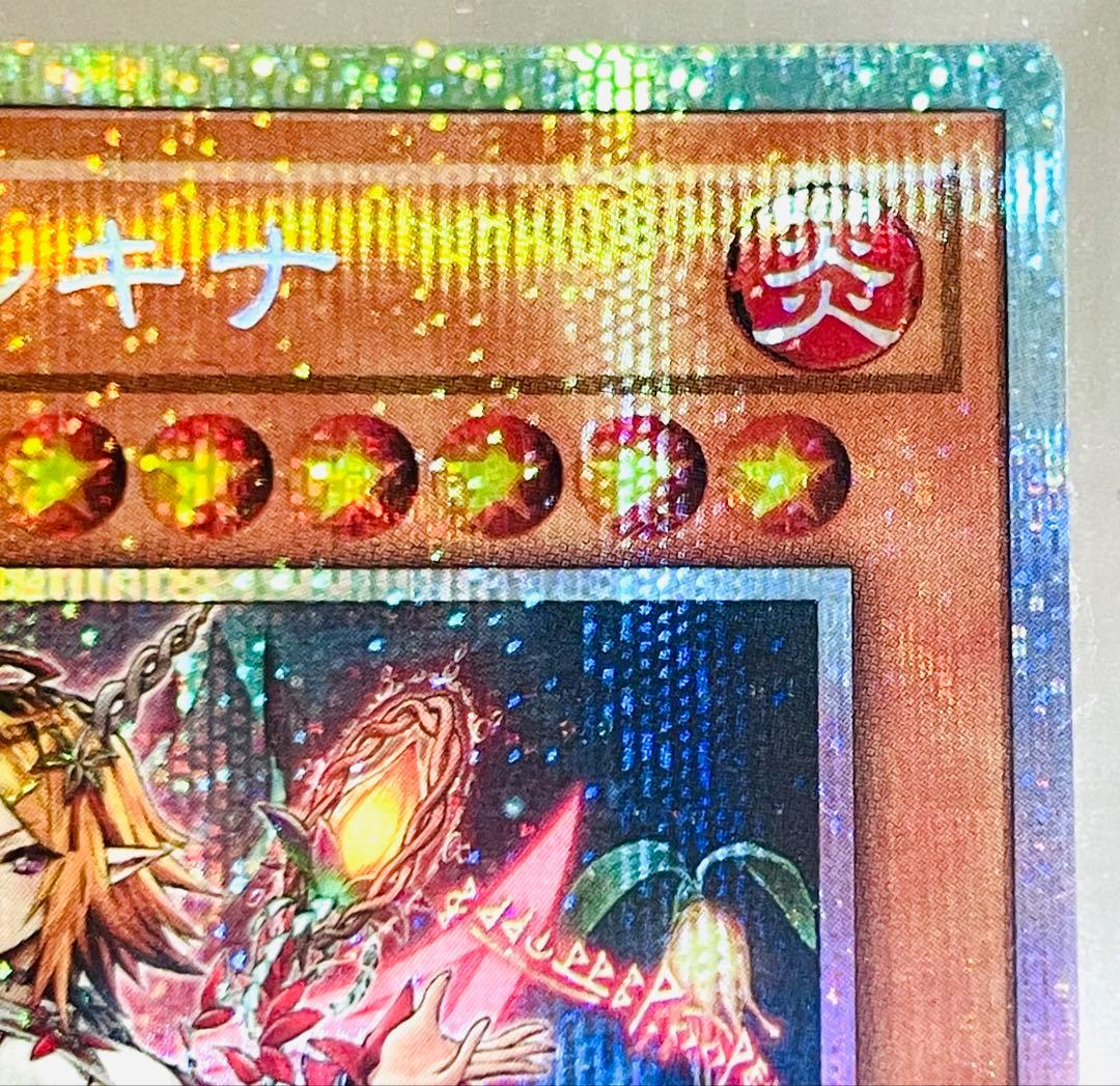 遊戯王 耀聖の花詩 エルフェンノーツ ルキナ プリズマティックシークレットレア