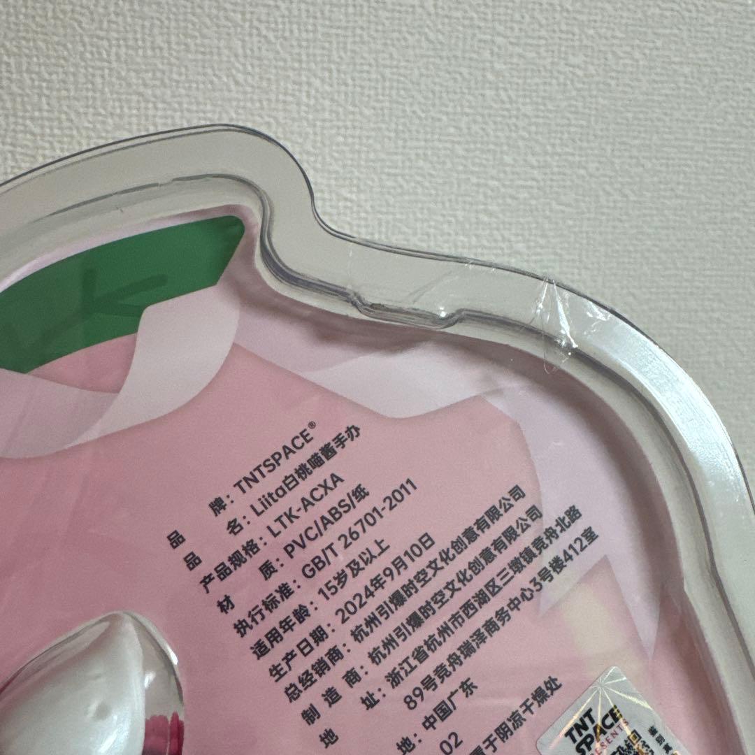 TNTSPACE Liita リイタ　透明パッケージ　吊卡 レア