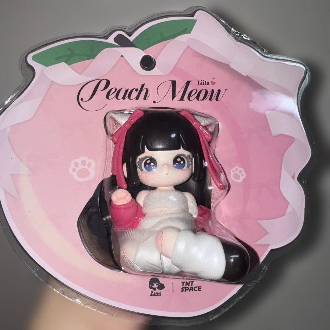 TNTSPACE Liita リイタ　透明パッケージ　吊卡 レア